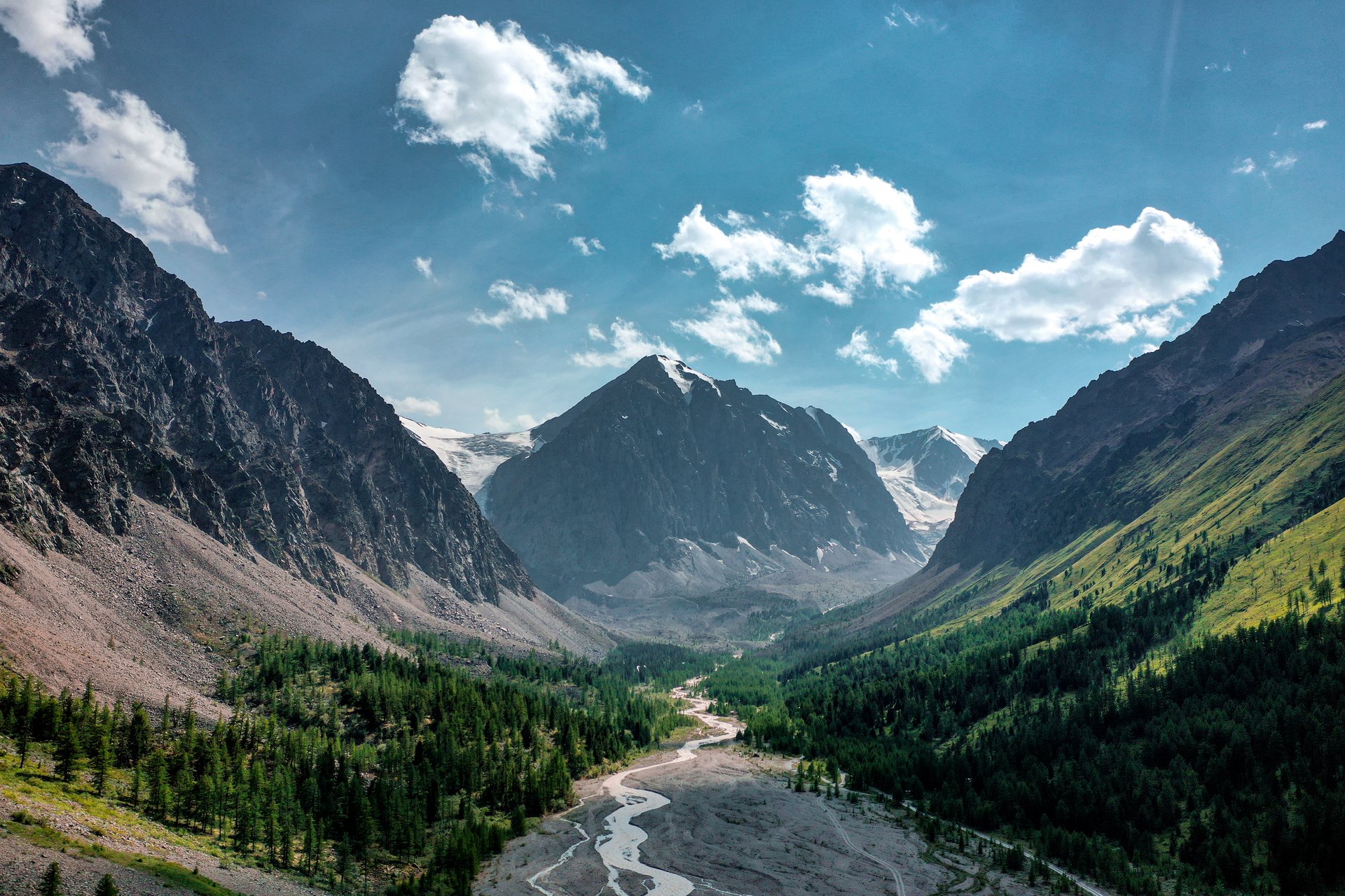 цветение маральника в горном алтае